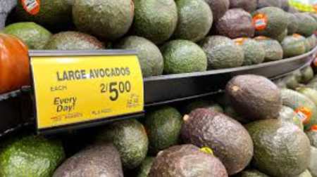 Avocado Prices