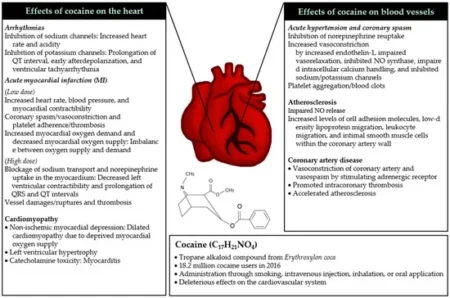 Cocaine The Dangers, Addiction, and the Online Black Market