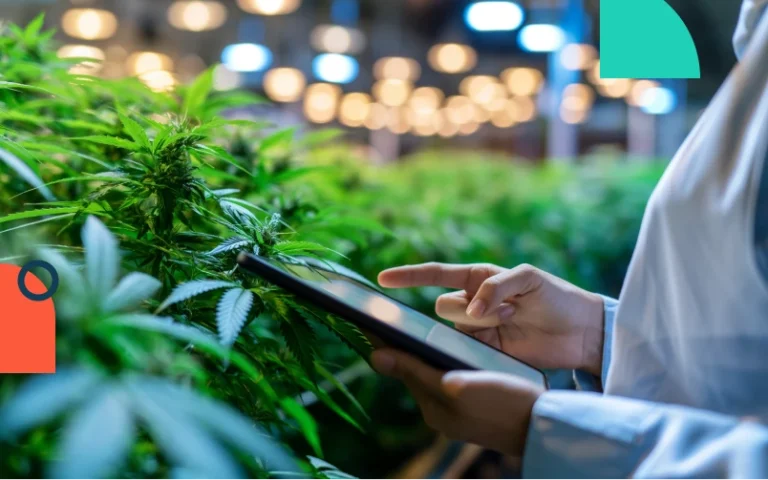 Management in the Cannabis Industry with AI