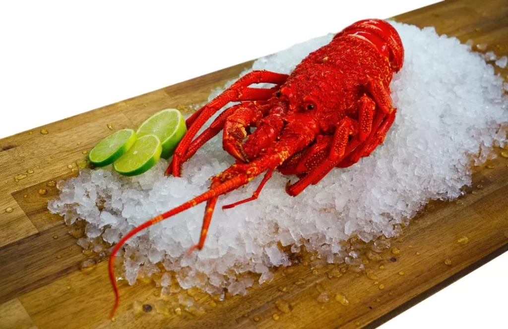 Rock Lobster vs Crayfish
